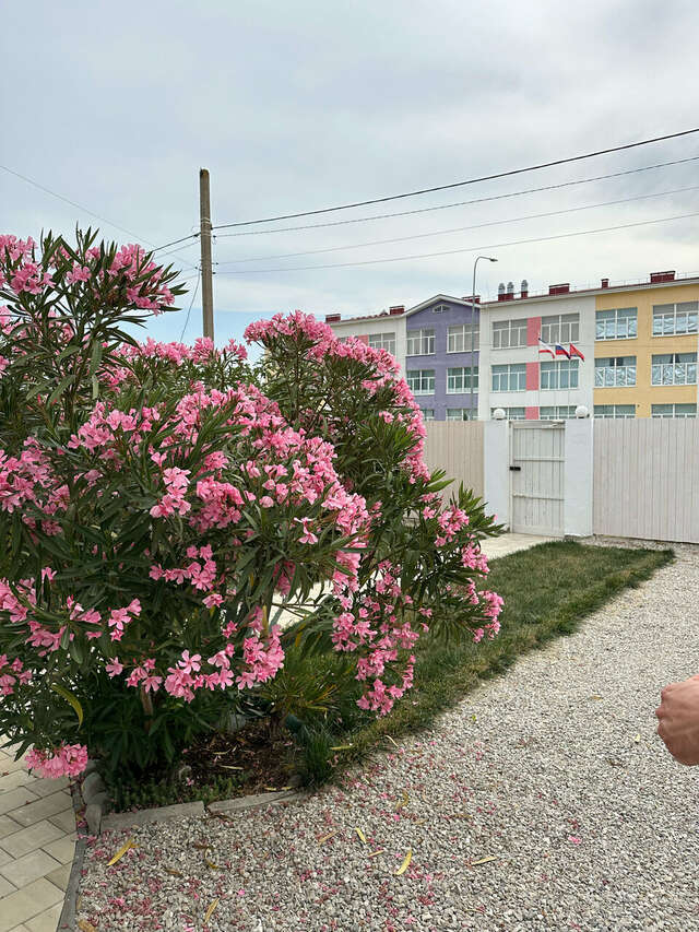 Гостиница Wigwam Судак-163