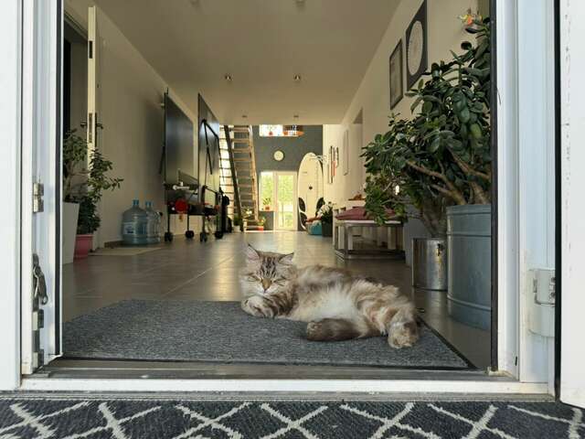 Гостиница Wigwam Судак-155