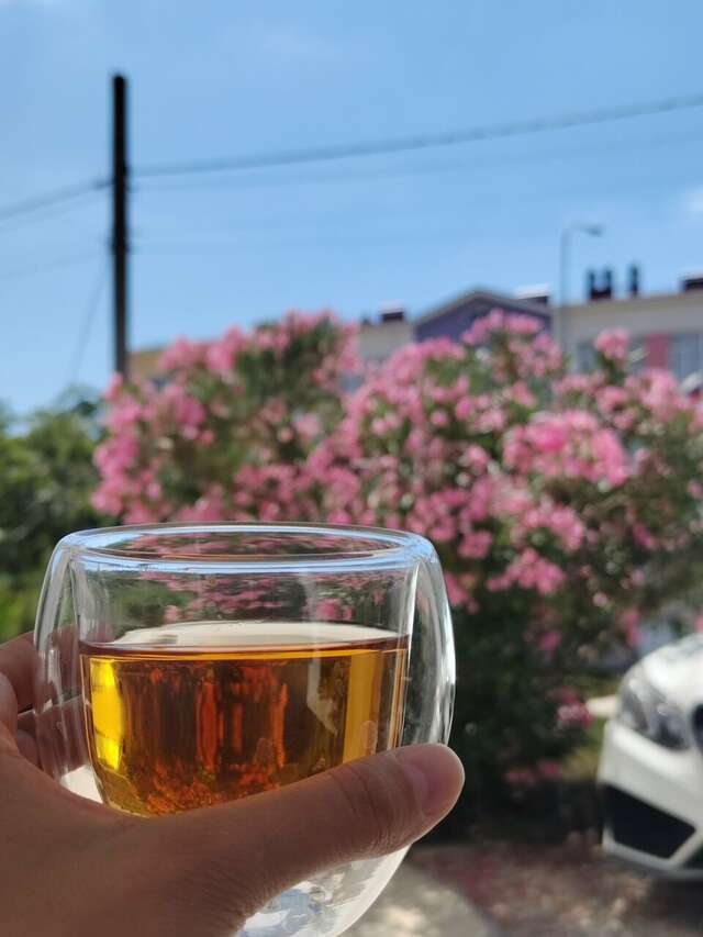 Гостиница Wigwam Судак-166