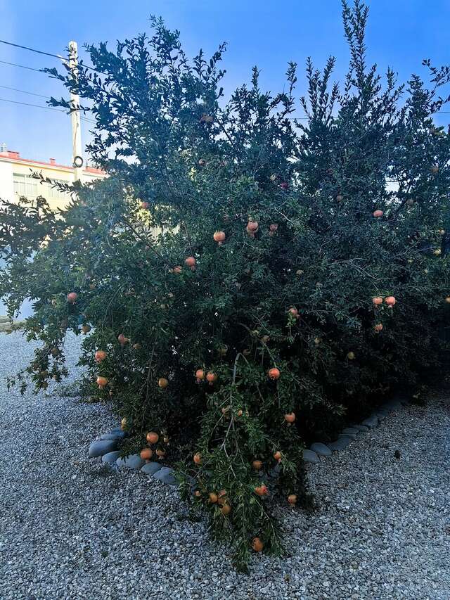 Гостиница Wigwam Судак-146