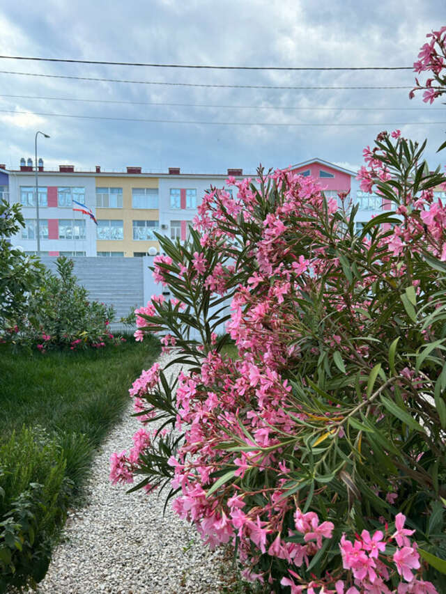 Гостиница Wigwam Судак-24