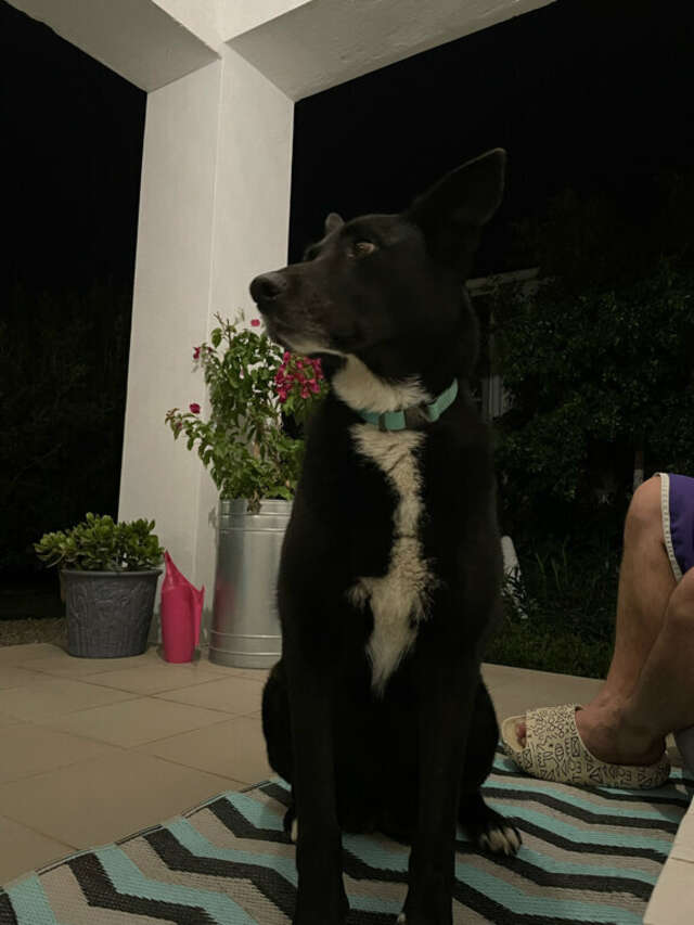 Гостиница Wigwam Судак-36