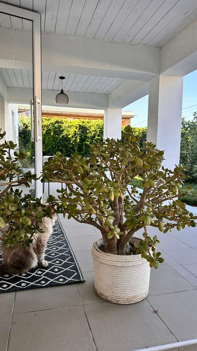 Гостиница Wigwam Судак-152