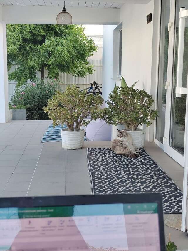 Гостиница Wigwam Судак-173