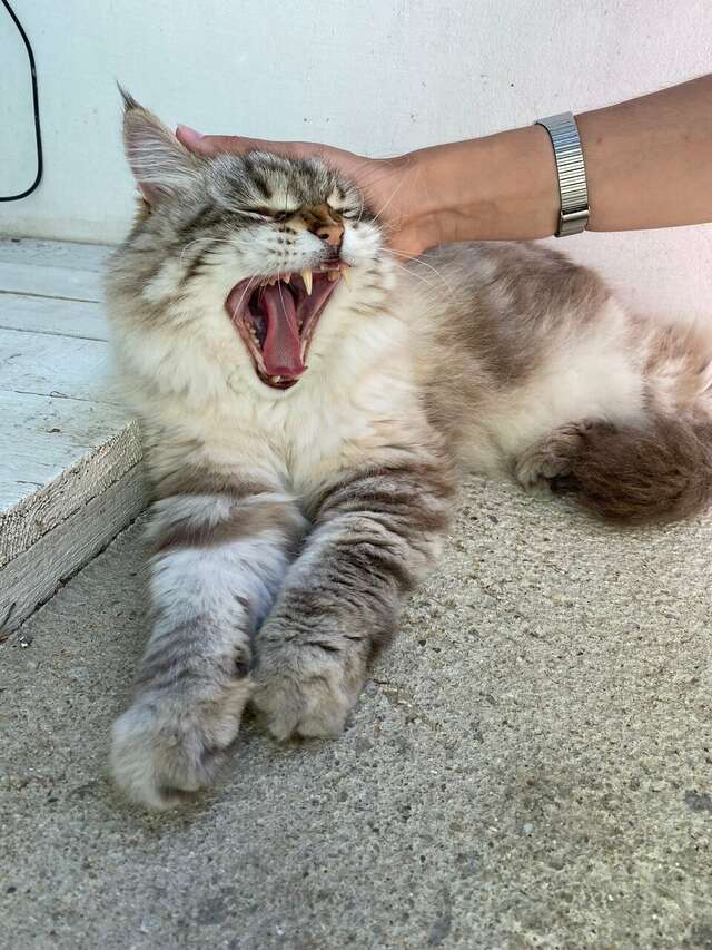 Гостиница Wigwam Судак-145