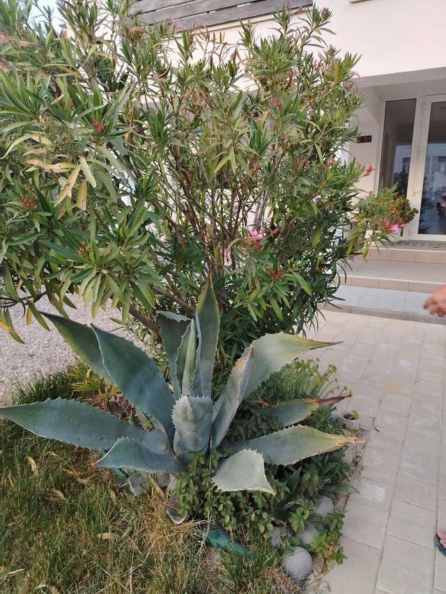 Гостиница Wigwam Судак-147