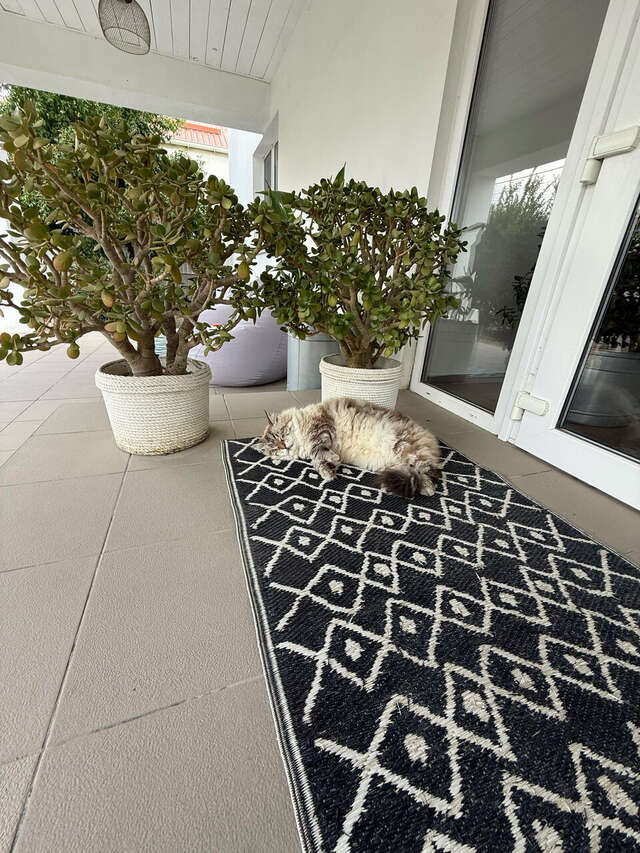 Гостиница Wigwam Судак-161