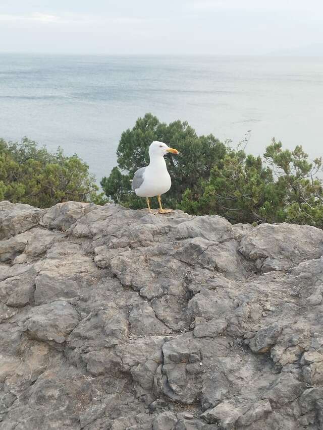 Гостиница Wigwam Судак-143