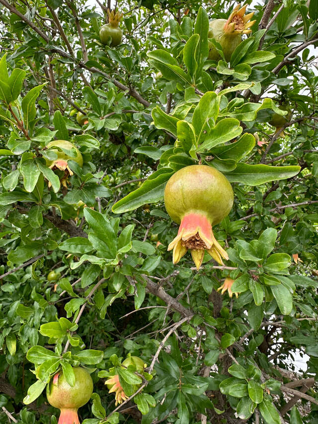 Гостиница Wigwam Судак-140