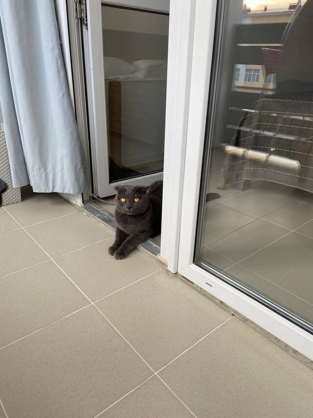 Гостиница Wigwam Судак-70