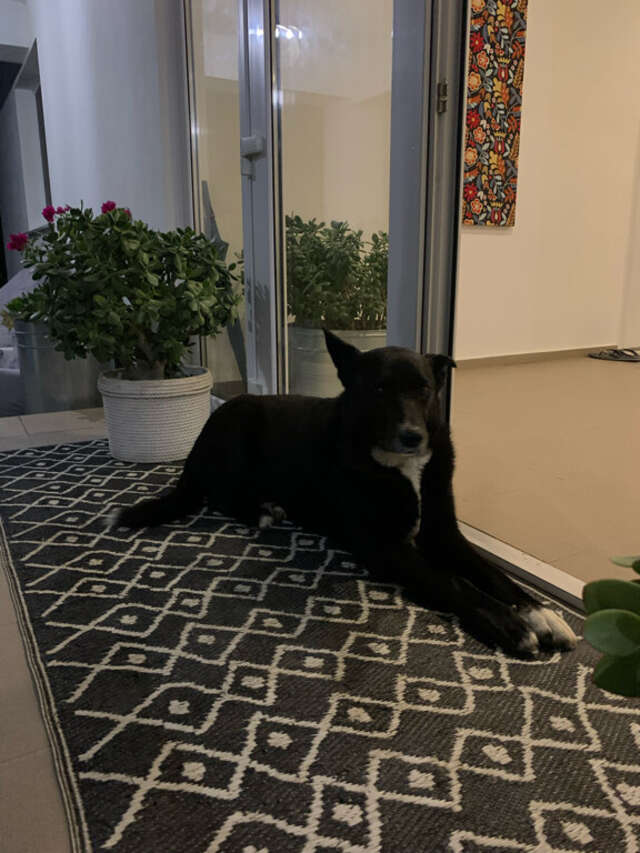 Гостиница Wigwam Судак-23