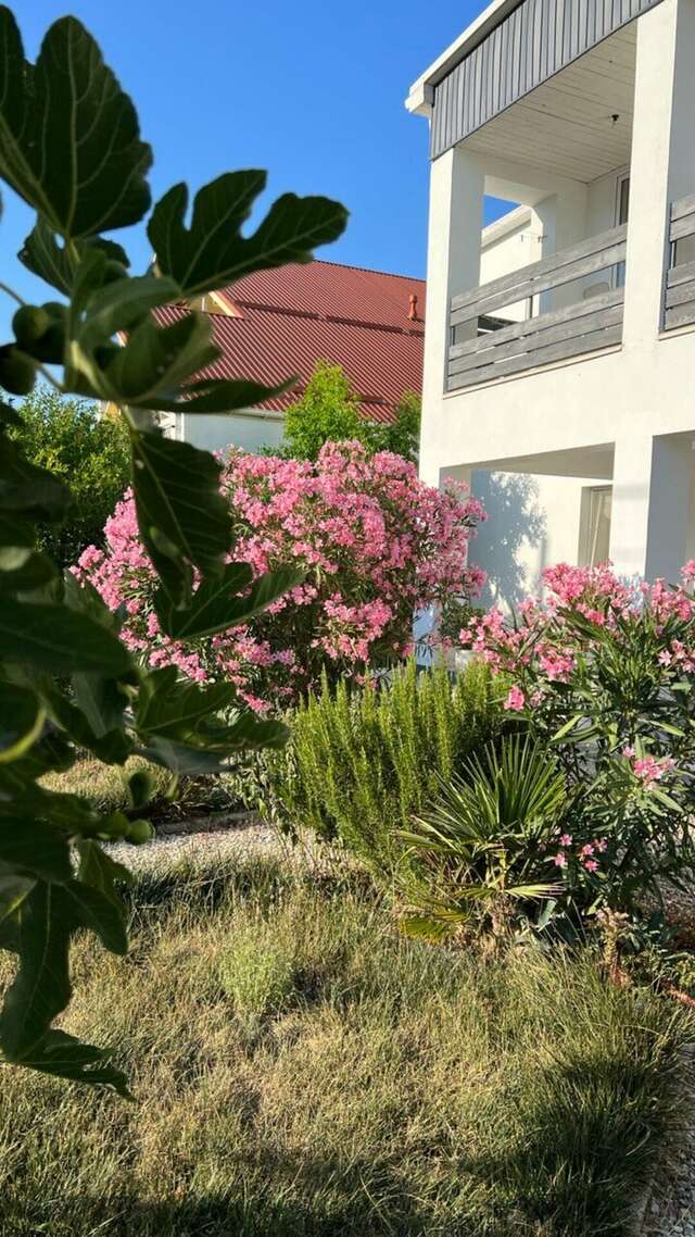 Гостиница Wigwam Судак-40